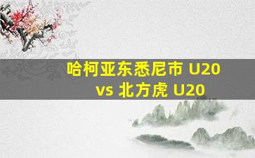 哈柯亚东悉尼市 U20 vs 北方虎 U20